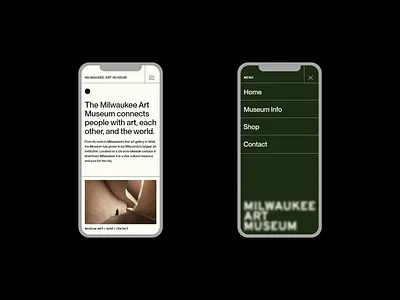 ⬤ MAM | Hero & Menu concept eddesignme el salvador hero menu modern museum ui design