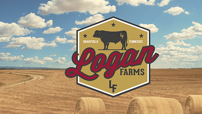 Logan Beef apparel branding cow design farm icon illustration logo rural tennessee typography vector