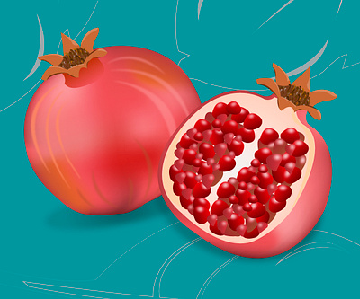 Pomegranate design graphic design illustration vector