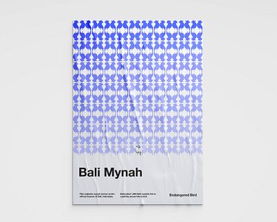 Endangered Bird: Bali Mynah communication design endangered bird graphic design swiss styl pattern design poster design sushant kumar rai swiss poster swiss style