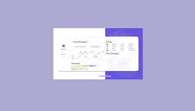 Travel Snapshot (Daily UI 018, Data Analytics) analytics dailyui018 dailyuichallenge data dataanalytics graphic design travel ui ux vector