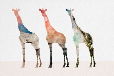 Save the Giraffes Watercolor animals branding giraffe watercolor