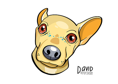 Ollie animals design dog graphic design illustration vector
