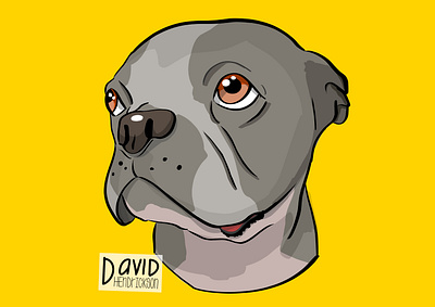 Ziggy animals dog graphic design illustration procreate vector