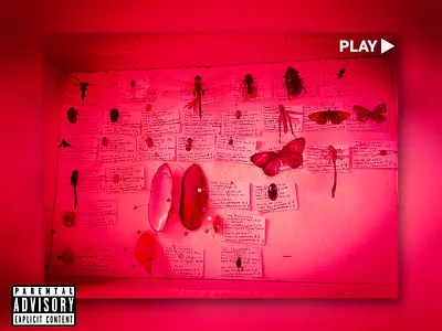 Аlbum cover album cover branding cover design illustration