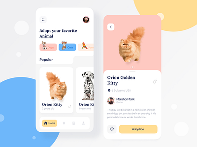 Pets Android App Design