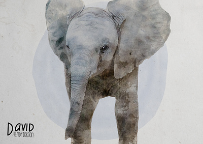 Elephant Watercolor animals branding elephant illustration painting