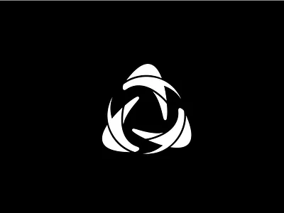 Boomerang recycling program branding design graphic design icon logo