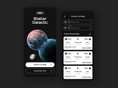 Stellar Galactic: Space Travel Agency app design app ui app ui design branding contrast cosmos planets space spacex travel typography