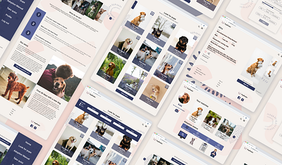 Improved user experience for dog adoption website with survey design graphic design illustration illustrator ui ux web website