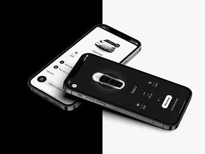 Car App booking car car rental carsharing pickup rental ride hailing rideshare taxi tesla uber