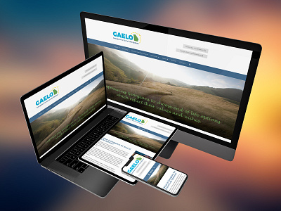 GAELO Website Design design website design