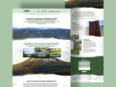 New Web Design darold pinnock design dpcreates ui web design website xd design