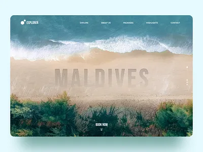Maldives - Banner Concept app branding figma illustration ios ui ux web website