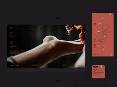 ANTIDOTO™ Health Branding. app clean conceptual digital health minimal modern natural organic smart sustentable uidesign uxdesign vintage