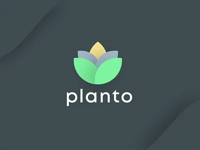 Planto Logo Design adobe illustrator branding graphic design illustration logo