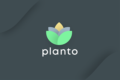 Planto Logo Design adobe illustrator branding graphic design illustration logo