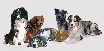 DOG ILLUSTRATION