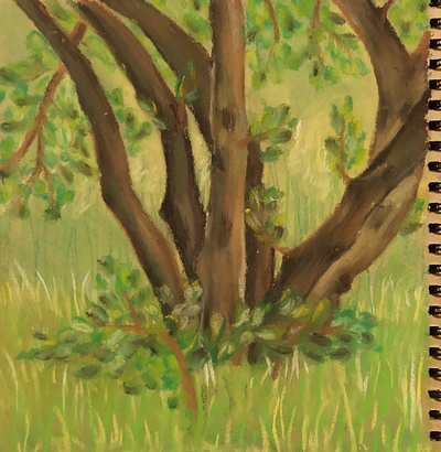 Apple tree illustration pastels