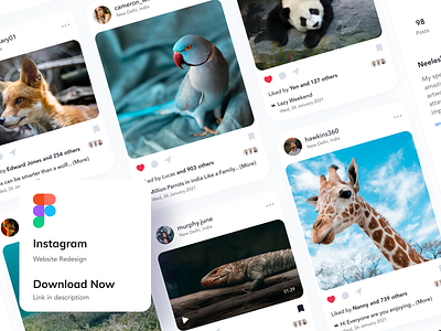 Instagram Website Redesign Concept branding cards dailyui design download facebook figma freebie instagram instagram post instagram template logo minimal post design social media social media design twitter typography ui ux