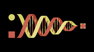 Preserving Brand Equity | Illustration for Studio Science Blog acquisition biology combining concept design thinking development joining merger product red stem yellow
