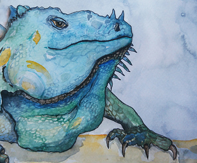 Big iguana illustration book children book childrenbookillustration cover design dribbble for children for kids illustration illustrator kids illustrator