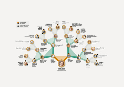 Infographic Family tree - infographics design conceptual design conceptual illustration dataviz digital illustration editorial illustration editorial infographic illustration illustrator infographic infographics information design visualization design