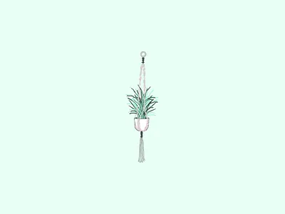 Hanging Plant Illustration art green hangingplant illustration pink plant