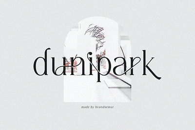 Diranista - Stylish Display Font advertising branding classy display display font elegant fashion font fonts lettering logo magazine minimalist modern sans serif serif stylish typeface typography unique