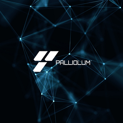 Palliolum android app branding corporation cybersecurity design graphic design info iphone logo minimalist modern security ui ux