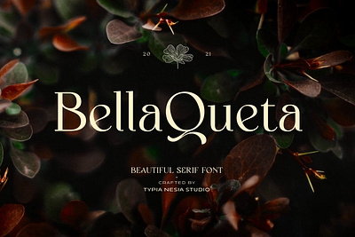 Bella Queta - Beautiful Classic Serif Font advertising branding classy display elegant fashion font fonts lettering logo luxury magazine minimalist modern sans serif serif stylish typeface typography unique