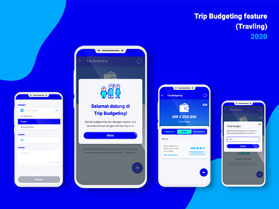 Financial Planner Feature for Travel App adobe xd budgeting design financial travel ui