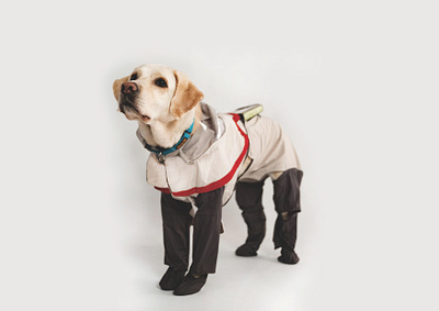 導盲犬雨衣 導盲犬 雨衣