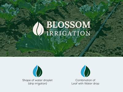 Logo Design for Blossom Irrigation a logo adobe agriculture agriculture logo dailylogo design farm logo irrigation irrigation logo logo logo concept logo design logo designer logodesign logodesigner logodesignersclub logodesigns nature need a logo