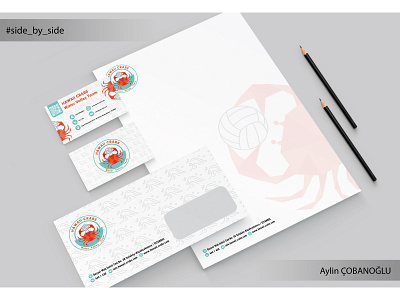 Sport Logo/Hawaii Crabs Water Volley Team ball business businesscard carbs crab envelope hawaii illustration logo minimal papper sport sportlogo team volley volleyball volleyteam watervolley