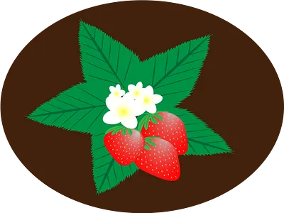 Strawberry flowers illustration strawberry strawberryflowers