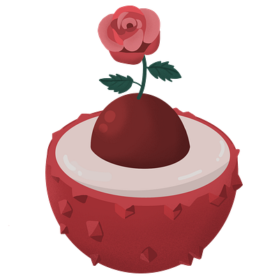 little prince's rose on the litchi planet design illustration vector