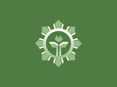 HCS- Home Care Services branding care foundation graphic design home organization services