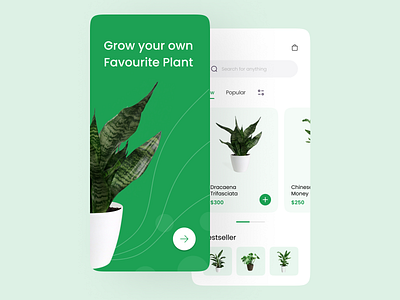 Plant Store animation app app design application branding design drink flat flowerr food icon illustration logo plant plants typography