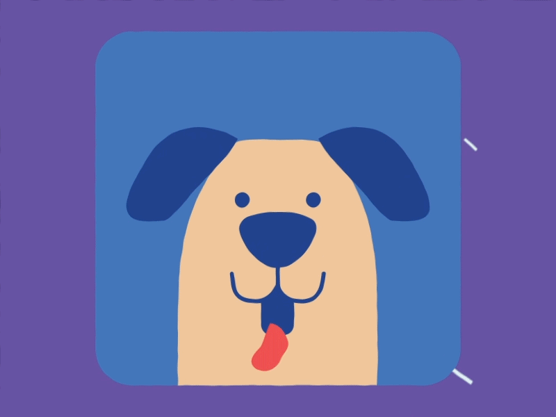 Dog after effects animal animation cinema4d design dog flat design illustration illustrator motion motion design pet vector