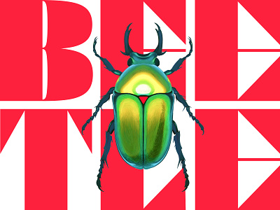 Know Your Beetle animation graphic design illustration typography ui web web design website