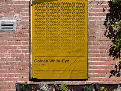 Endangered Bird: Golden White-Eye communication design graphic design pattern design poster design sushant kumar rai swiss design swiss style