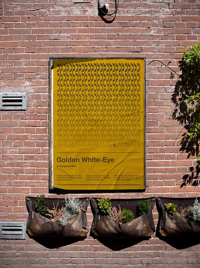 Endangered Bird: Golden White-Eye communication design graphic design pattern design poster design sushant kumar rai swiss design swiss style