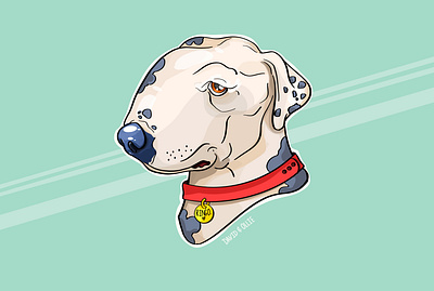 Save Ringo animal rights animals branding charity design dog dogs graphic design hand drawn illustration pets procreate vector