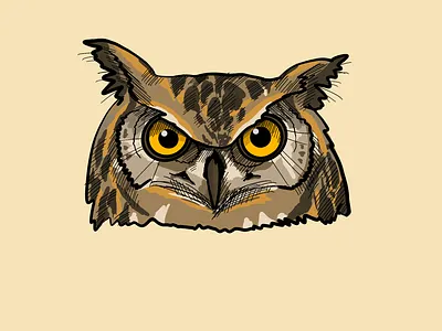 Owl digital art illustration owl procreate