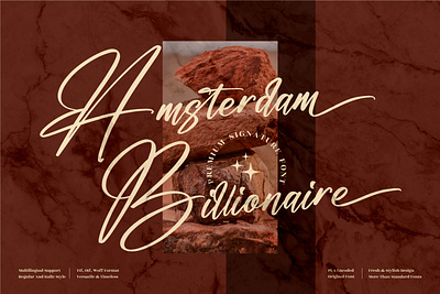 Amsterdam Billionaire - Modern Signature Font 3d animation app branding design graphic design icon illustration logo motion graphics typography ui ux vector