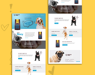 Organic Dog Food Web Design & Development - Free PSD branding dog food website free psd illustration organic dog food outsource2bd ui vector web design web development