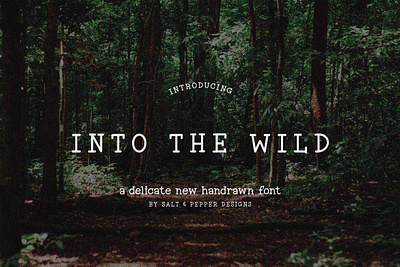 Into the Wild Font font typeface typewriter typography