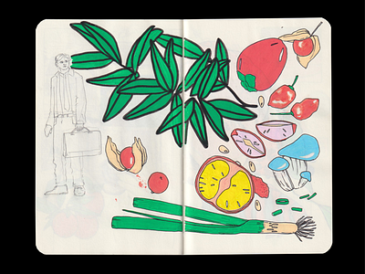lil veggies illustration posca sketchbook