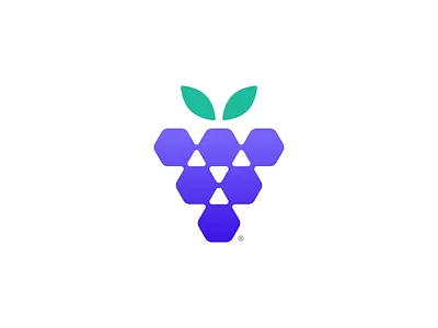 Hexagrape® brand branding concept fruit grape hexagon icon illustration logo logo design logomark mark minimal minimalist monogram nature logo simple startup symbol vector